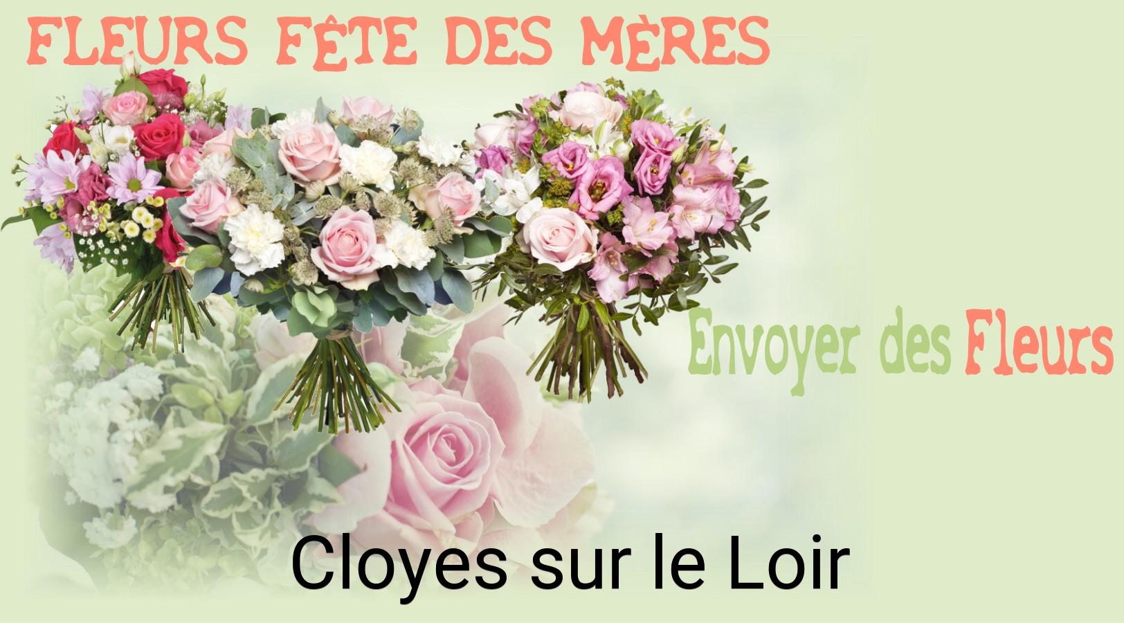 Bouquet de Fête des Mères livré à Cloyes-sur-le-Loir
